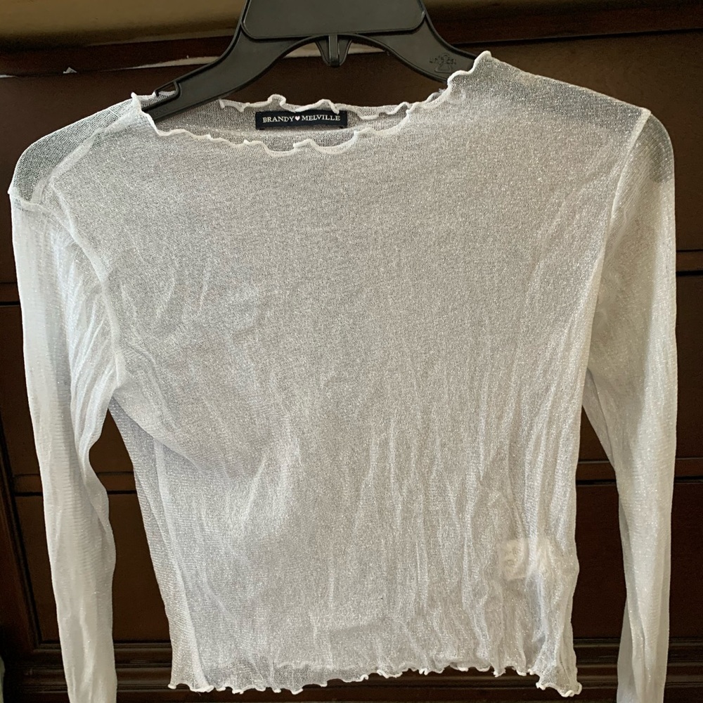 Brandy Melville Shimmer long sleeve mesh